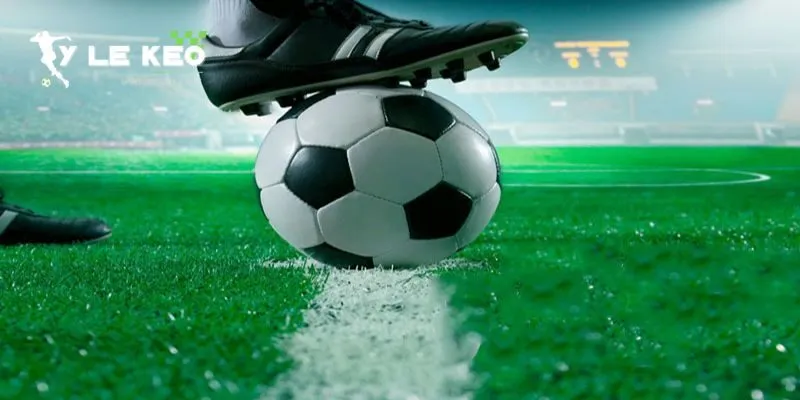 Trang chủ 169 Một số kèo phụ cũng được ưa chuộng