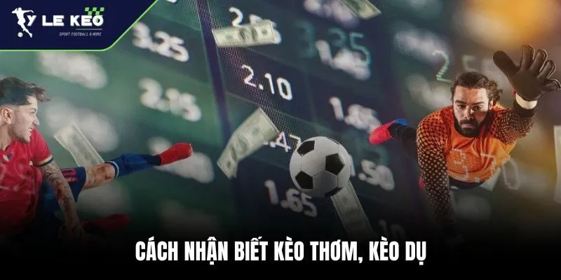 Tỷ Lệ Kèo 173 Cách nhận biết kèo thơm, kèo dụ